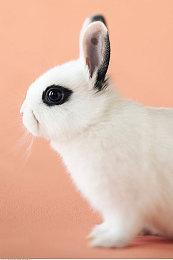 《冬日幸存者》延期至2024年2月正式发售 更换虚幻5引擎